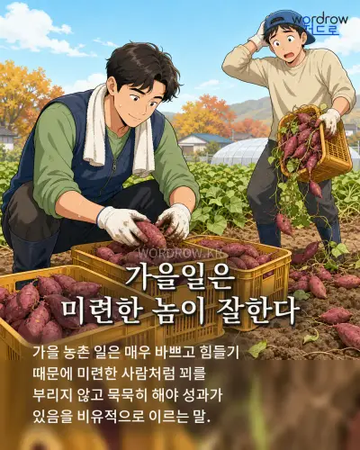 한국어 속담 “가을일은 미련한 놈이 잘한다”를 한 장면으로 담은 1컷 일러스트
