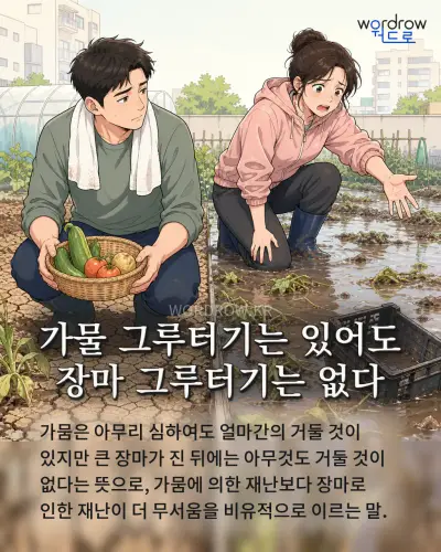 한국어 속담 “가물 그루터기는 있어도 장마 그루터기는 없다” 1컷 일러스트