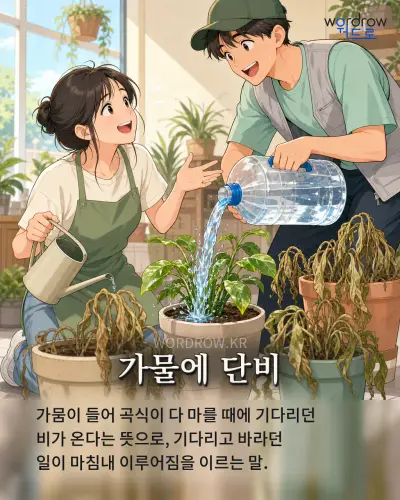 한국어 속담 “가물에 단비” 1컷 일러스트
