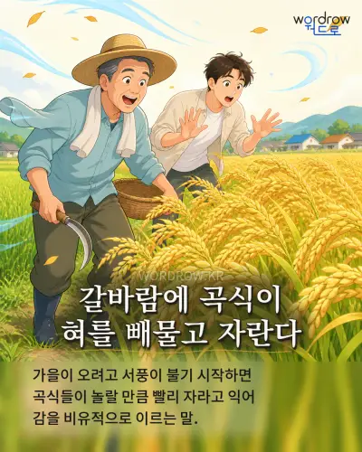 한국어 속담 “갈바람에 곡식이 혀를 빼물고 자란다” 1컷 일러스트