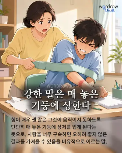 한국어 속담 “강한 말은 매 놓은 기둥에 상한다”를 한 장면으로 담은 1컷 일러스트