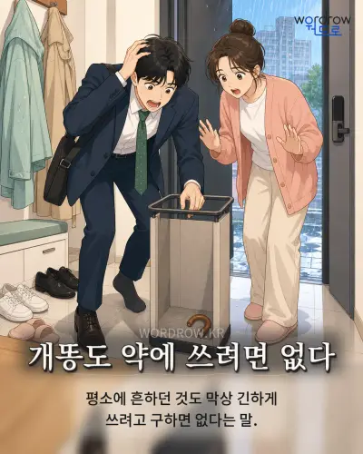 한국어 속담 “개똥도 약에 쓰려면 없다” 1컷 일러스트