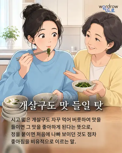 한국어 속담 “개살구도 맛 들일 탓”를 한 장면으로 담은 1컷 일러스트