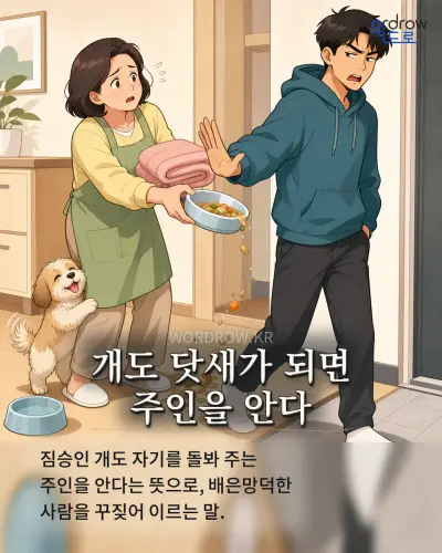 한국어 속담 “개도 닷새가 되면 주인을 안다” 1컷 일러스트