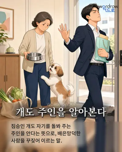 한국어 속담 “개도 주인을 알아본다”를 한 장면으로 담은 1컷 일러스트