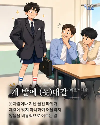한국어 속담 “개 발에 (놋)대갈[버선/토시짝]”를 한 장면으로 담은 1컷 일러스트