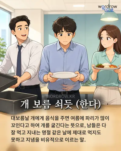 한국어 속담 “개 보름 쇠듯 (한다)” 1컷 일러스트