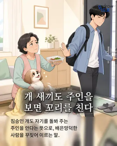 한국어 속담 “개 새끼도 주인을 보면 꼬리를 친다” 1컷 일러스트