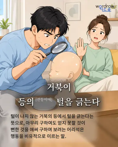 한국어 속담 “거북이 등의 털을 긁는다” 1컷 일러스트
