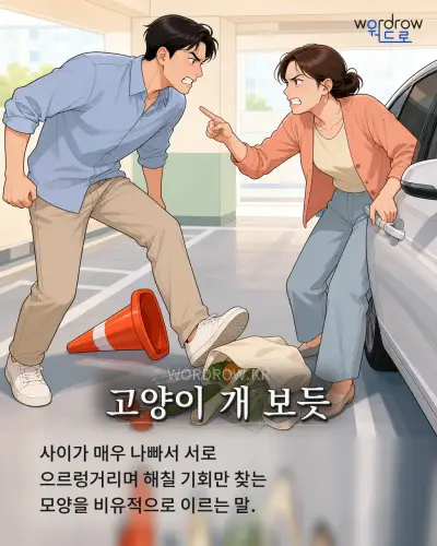 한국어 속담 “고양이 개 보듯” 1컷 일러스트