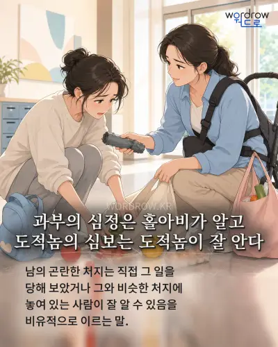 한국어 속담 “과부의 심정은 홀아비가 알고 도적놈의 심보는 도적놈이 잘 안다” 1컷 일러스트