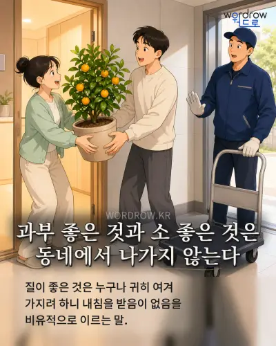 한국어 속담 “과부 좋은 것과 소 좋은 것은 동네에서 나가지 않는다” 1컷 일러스트