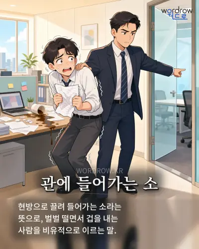한국어 속담 “관에 들어가는 소”를 한 장면으로 담은 1컷 일러스트