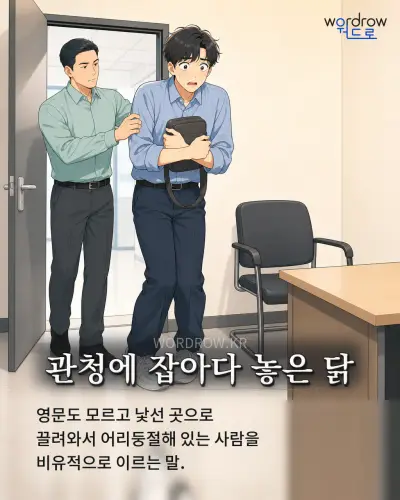 한국어 속담 “관청에 잡아다 놓은 닭” 1컷 일러스트