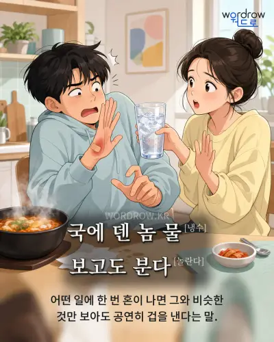한국어 속담 “국에 덴 놈 물[냉수] 보고도 분다[놀란다]”를 한 장면으로 담은 1컷 일러스트