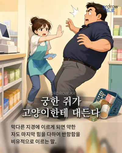 한국어 속담 “궁한 쥐가 고양이한테 대든다” 1컷 일러스트