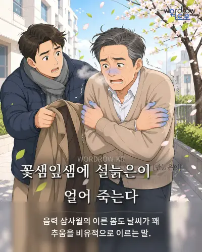 한국어 속담 “꽃샘잎샘에 설늙은이[반늙은이] 얼어 죽는다”를 한 장면으로 담은 1컷 일러스트