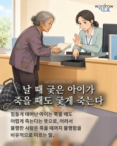 한국어 속담 “날 때 궂은 아이가 죽을 때도 궂게 죽는다”를 한 장면으로 담은 1컷 일러스트