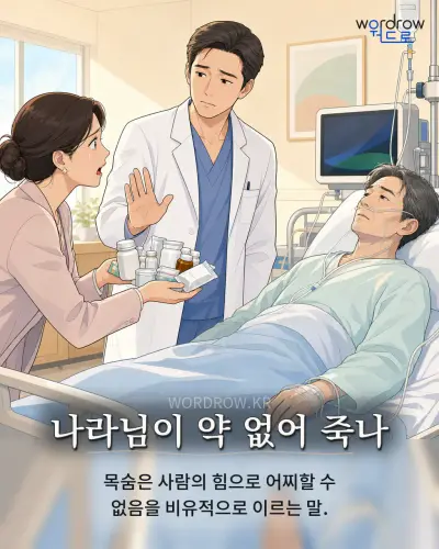 한국어 속담 “나라님이 약 없어 죽나” 1컷 일러스트