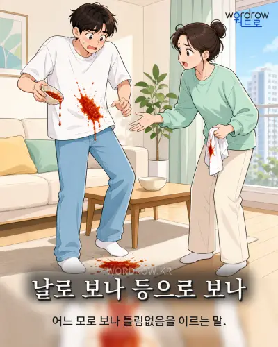 한국어 속담 “날로 보나 등으로 보나” 1컷 일러스트