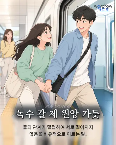 한국어 속담 “녹수 갈 제 원앙 가듯” 1컷 일러스트