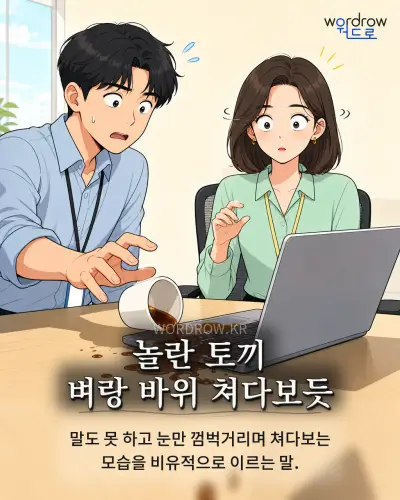 한국어 속담 “놀란 토끼 벼랑 바위 쳐다보듯”를 한 장면으로 담은 1컷 일러스트
