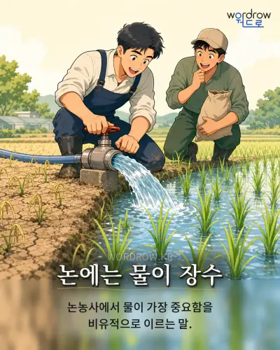 한국어 속담 “논에는 물이 장수”를 한 장면으로 담은 1컷 일러스트