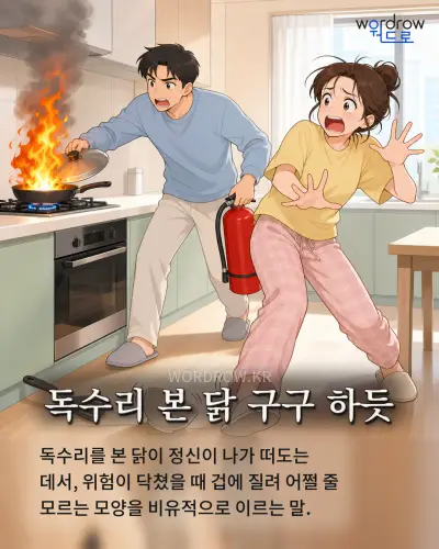 한국어 속담 “독수리 본 닭 구구 하듯” 1컷 일러스트