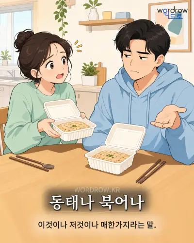 한국어 속담 “동태나 북어나” 1컷 일러스트