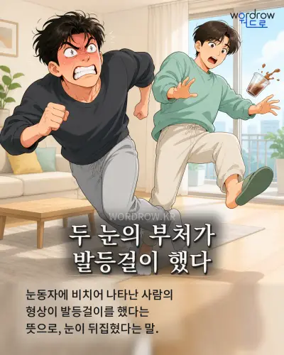 한국어 속담 “두 눈의 부처가 발등걸이 했다” 1컷 일러스트