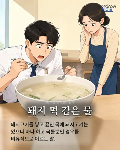 한국어 속담 “돼지 멱 감은 물” 1컷 일러스트