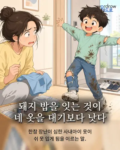 한국어 속담 “돼지 밥을 잇는 것이 네 옷을 대기보다 낫다” 1컷 일러스트