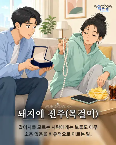 한국어 속담 “돼지에 진주” 1컷 일러스트