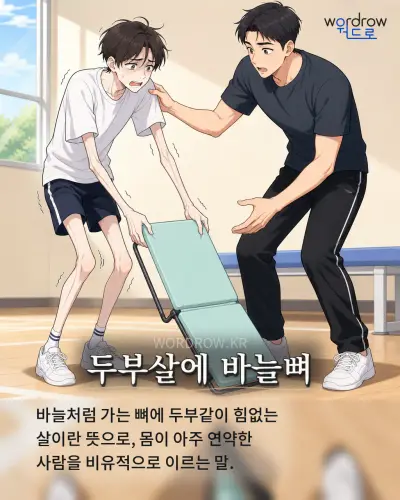 한국어 속담 “두부살에 바늘뼈” 1컷 일러스트