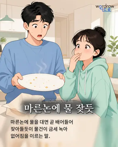 한국어 속담 “마른논에 물 잦듯” 1컷 일러스트