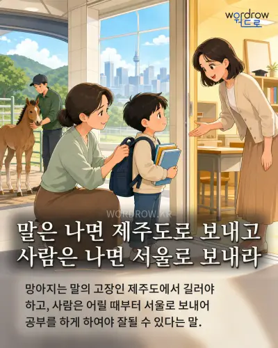 한국어 속담 “말은 나면 제주도로 보내고 사람은 나면 서울로 보내라” 1컷 일러스트