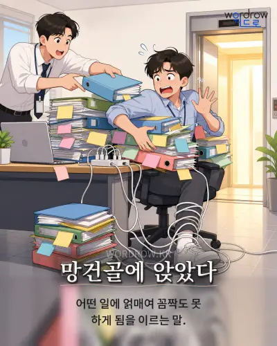 한국어 속담 “망건골에 앉았다” 1컷 일러스트