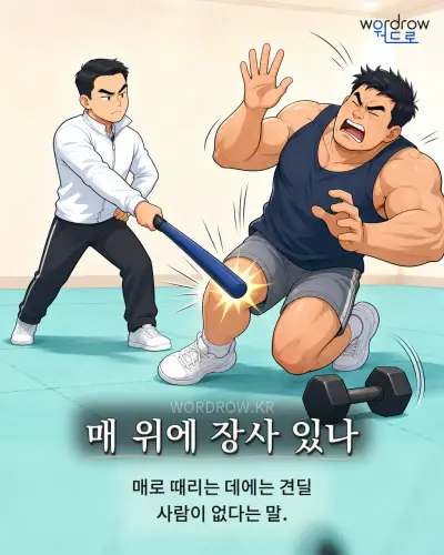 한국어 속담 “매 위에 장사 있나” 1컷 일러스트