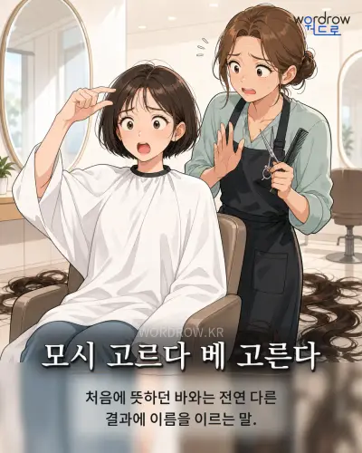 한국어 속담 “모시 고르다 베 고른다” 1컷 일러스트