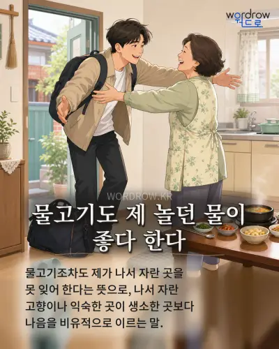 한국어 속담 “물고기도 제 놀던 물이 좋다 한다” 1컷 일러스트