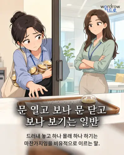 한국어 속담 “문 열고 보나 문 닫고 보나 보기는 일반” 1컷 일러스트