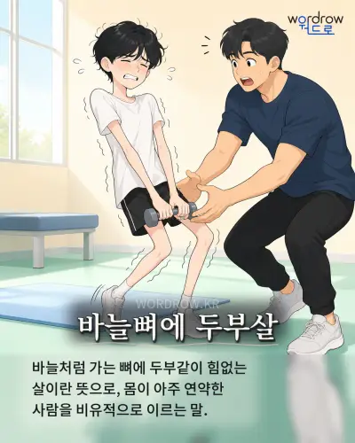 한국어 속담 “바늘뼈에 두부살” 1컷 일러스트