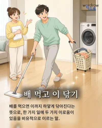 한국어 속담 “배 먹고 이 닦기” 1컷 일러스트