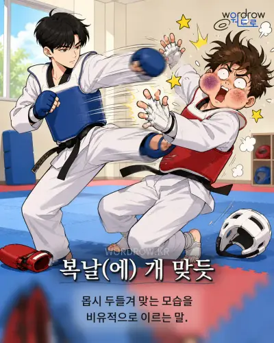 한국어 속담 “복날(에) 개 맞듯” 1컷 일러스트