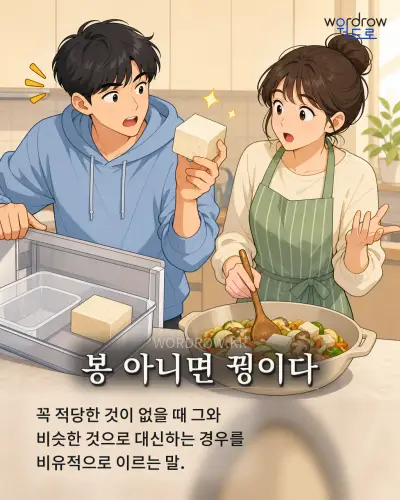 한국어 속담 “봉 아니면 꿩이다” 1컷 일러스트