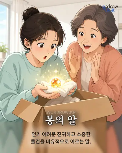 한국어 속담 “봉의 알” 1컷 일러스트