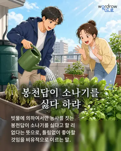 한국어 속담 “봉천답이 소나기를 싫다 하랴” 1컷 일러스트