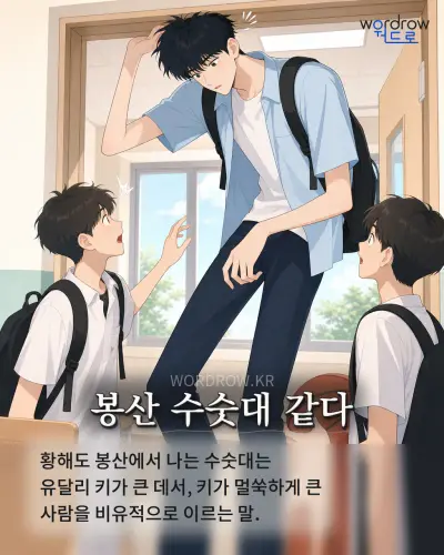 한국어 속담 “봉산 수숫대 같다” 1컷 일러스트