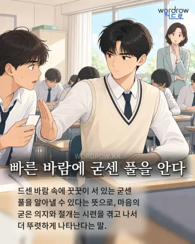 한국어 속담 “빠른 바람에 굳센 풀을 안다” 1컷 일러스트