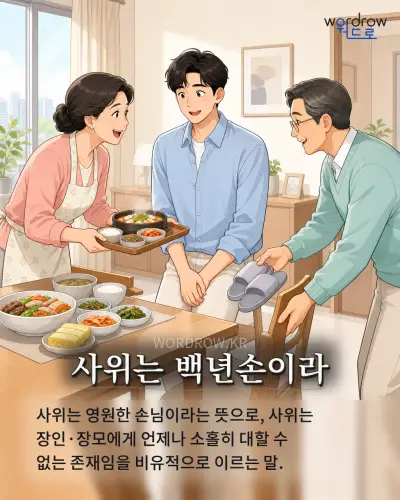 한국어 속담 “사위는 백년손이라” 1컷 일러스트